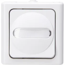 Kopp Universalschalter Blue Electric