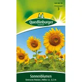 Quedlinburger Sonnenblume ''einfache Quedlinburger Riesen''