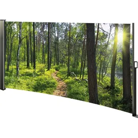 Westerholt Seitenmarkise 160 x 300 cm mehrfarbig PVC