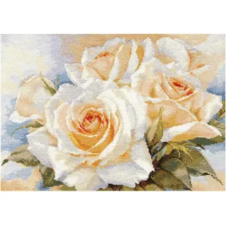 dutis Alisa Weiße Rosen