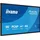 Iiyama ProLite T5529AS-B1AG 55" schwarz