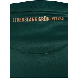 hummel SV Werder Bremen Ausweichtrikot 2025/2026 Herren 5XL