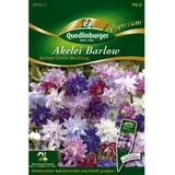 Quedlinburger Akelei ''Barlow Choice Mischung''