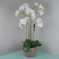 Leaf Design UK Realistische künstliche Orchidee im Topf, 80 cm