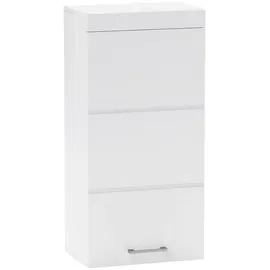 Homcom Hängeschrank Wandschrank mit Tür, Badezimmerschrank mit 2 Ebenen Weiß