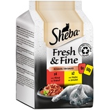 Sheba 72 x 50g Fresh & Fine Rind & Huhn in Sauce Sheba Katzenfutter nass