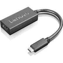 Lenovo GX90K37871 USB-Grafikadapter Schwarz