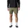ION Boardshorts Slade Dusty/Leaves XXL
