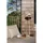 BLOMUS Stay Gartenliege 153 x 80 x 25 cm Braun