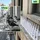 ideoon garden Taubenspikes 10,8 m 24 St.
