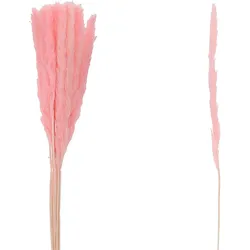 VOSTEEN 1 Stück Trockenblumen Pampasgras - Deko Zweige, Ziergras, Federgras - pflegeleicht, stilvoll, rosa Deko, Boho Tischdeko
