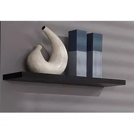 Höltkemeyer Wandregal 100 x 22 x 3,2 cm Schwarz