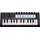 Novation Launchkey Mini 25 MK4