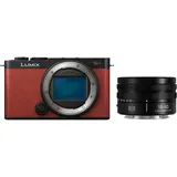 Panasonic Lumix DC-S9 + S 18-40mm f/4.5-6.3 Kaminrot