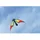 HQ Cirrus Ruby (117607)
