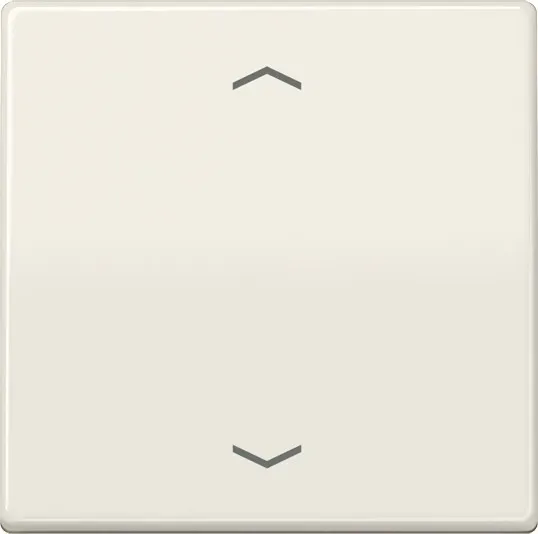 Jung Wippe Symbole ws AS 591 P