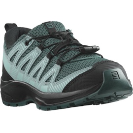 Salomon Xa Pro V8 Hiking Shoes grün EU 36