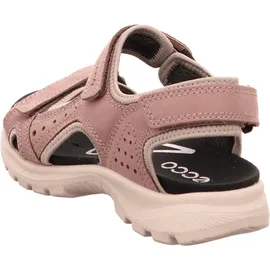 ECCO Onroads woodrose/magnet 41