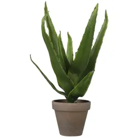 Mica decorations Kunstpflanze Aloe Vera im Blumentopf Stan Ø 16 cm x 30 cm Grün