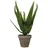 Mica decorations Kunstpflanze Aloe Vera im Blumentopf Stan Ø 16 cm x 30 cm Grün