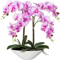 Kunstorchidee Deko-Orchidee Phalaenopsis in Keramikschale Orchidee Phalenopsis, Creativ green, Höhe 53 cm lila