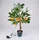 Buri Kugelleuchte Kunststoff 90 cm Solar LED orange