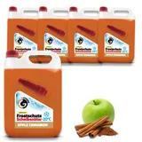 g-xtreme Scheibenfrostschutz Apple & Cinnamon 4 St. 20 l