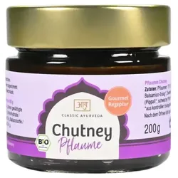 Classic Ayurveda Chutney Pflaume bio