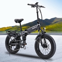 Paselec Elektrofahrrad 20'' Fatbike Faltrad e-Bike Mountainbike 750 W Pedelec