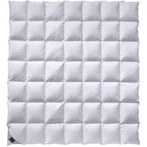 billerbeck Catalina Kassette IV 135x200 cm