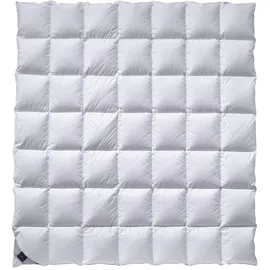 billerbeck Catalina Kassette IV 135x200 cm