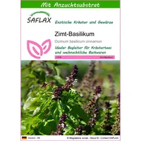 SAFLAX - Kräuter - Zimt-Basilikum - 200 Samen -