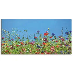 Artland Wandbild »Blumenwiese II«, Blumenwiese, (1 St.), als Leinwandbild, Wandaufkleber in verschied. Größen Artland Farbe Bild(er): blau