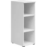 CARRYHOME Regal MULTISTAURAUM - B/H/T ca. 30,00x83,00x40,00