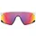 OAKLEY BXTR Matte White/Prizm Road