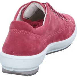 Legero Tanaro 5.0 Dark Raspberry 37,5