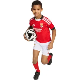 adidas Benfica Lissabon Minikit 2025/26 rot Kinder Gr. 86 cm