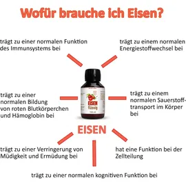 sinoplasan gmbh Eisen mit Dattelextrakt flüssig 100 ml