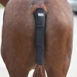 Kavalkade Schweifschoner-Synthese-Kautschuk - Schwarz - Einheitsgröße