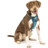 PetSafe Tru-Fit Hundegeschirr Tintenblau M