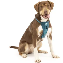 PetSafe Tru-Fit Hundegeschirr Tintenblau M