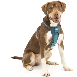 PetSafe Tru-Fit Hundegeschirr Tintenblau M