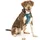 PetSafe Tru-Fit Hundegeschirr Tintenblau M