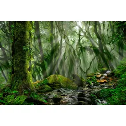 Fototapete PAPERMOON "TROPISCHER WALD-BAUM DSCHUNGEL SONNE WEG PALMEN BACH", bunt, B:4,50m L:2,80m, Vlies, Tapeten