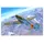 Hobby Boss Focke-Wulf FW 190D-9 1:48