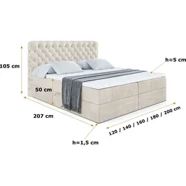altdecor BOXI8 180 x 200 cm H4 Beige/Goldfarben