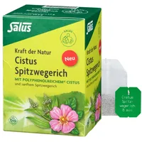 SALUS Cistus Spitzwegerich Tee bio
