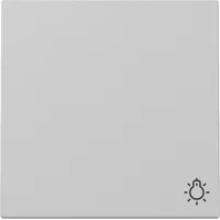 Gira Wippe mit Symbol Licht, grau matt