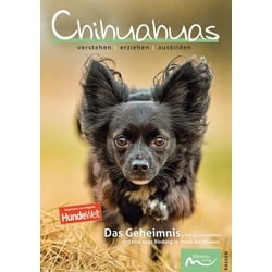 Chihuahuas