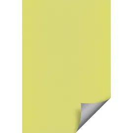 Lysel Outlet - Kassettenrollo abdunkelnd Apfelgrün, (B x H) 120cm x 175cm in grün/apfelgrün